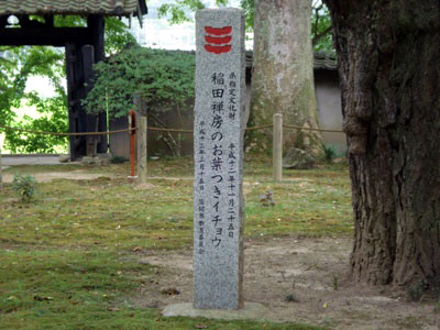 w蕶̔